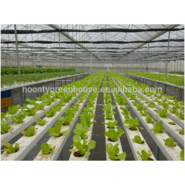 Hydroponics agriculture plastic film greenhouse